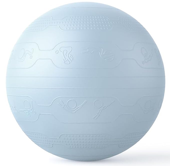 楽天市場】バランスボール 65cm ばらんすぼーる トレーニングガイド