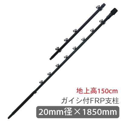 tbs-pf20185-04.jpg