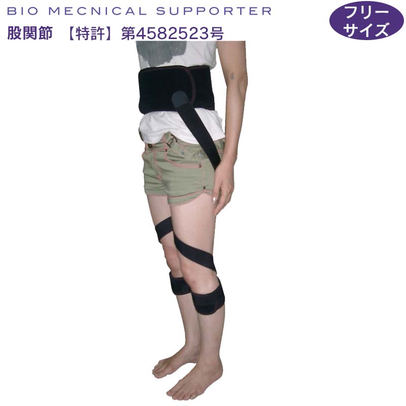 股関節にベルトを巻くだけでｏ脚矯正 新発想 矯正 寝ながら姿勢矯正 Line限定クーポン配布中 健康グッズ バイオメカサポーター 股関節 サポーター 骨盤用 フリーサイズ 股関節 矯正 ｏ脚 変形性股関節症 先天性股関節脱臼ベルト コルセット サポーター メーカー直送