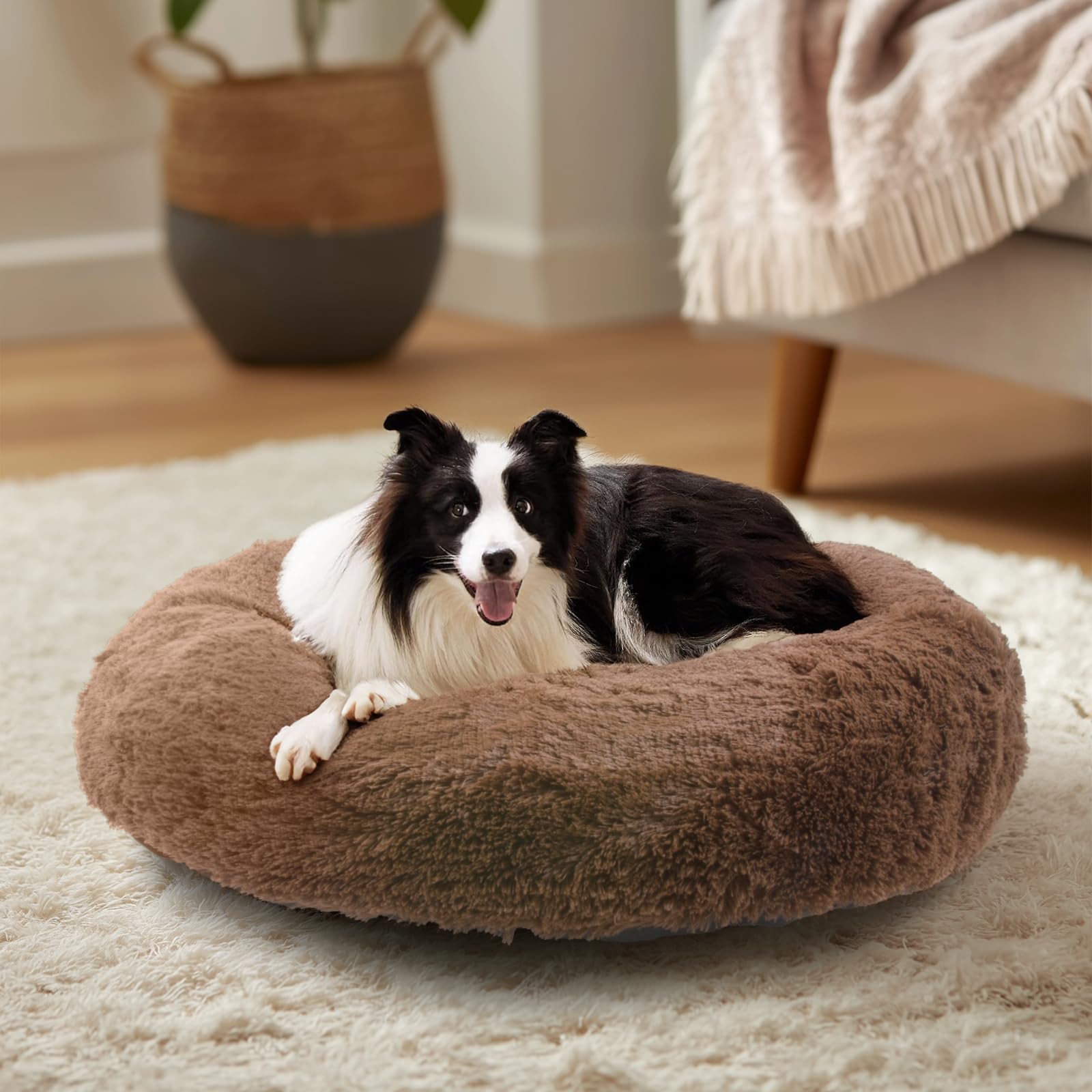 ジェマ 犬ベッド猫ベッド ペットベッド 秋冬用 ふわふわ 丸型 クッション ドーナツペットベッド ラウンド型 ぐっすり眠る 中大猫用