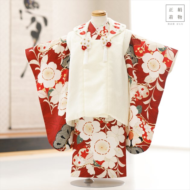 アンティーク＊正絹着物と長襦袢、被布セット imgrc0078645011.jpg