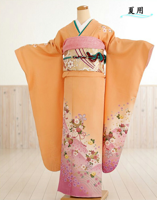 希少 夏用振袖 絽 imgrc0071828093.jpg