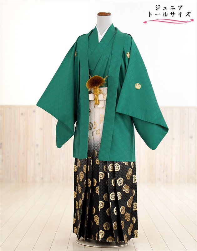 身長高め 160cm 165cm対応 ジュニア 紋付袴レンタル jbmo063-4 小学校卒業式 十三参り 小学生 12歳前後 男性着物レンタル メンズ フルセット 羽織袴 袴レンタル かっこいい おしゃれ 人気 貸衣装 kimono イベント「スタイルグリーン×黒金亀甲ぼかし袴」【レンタル】