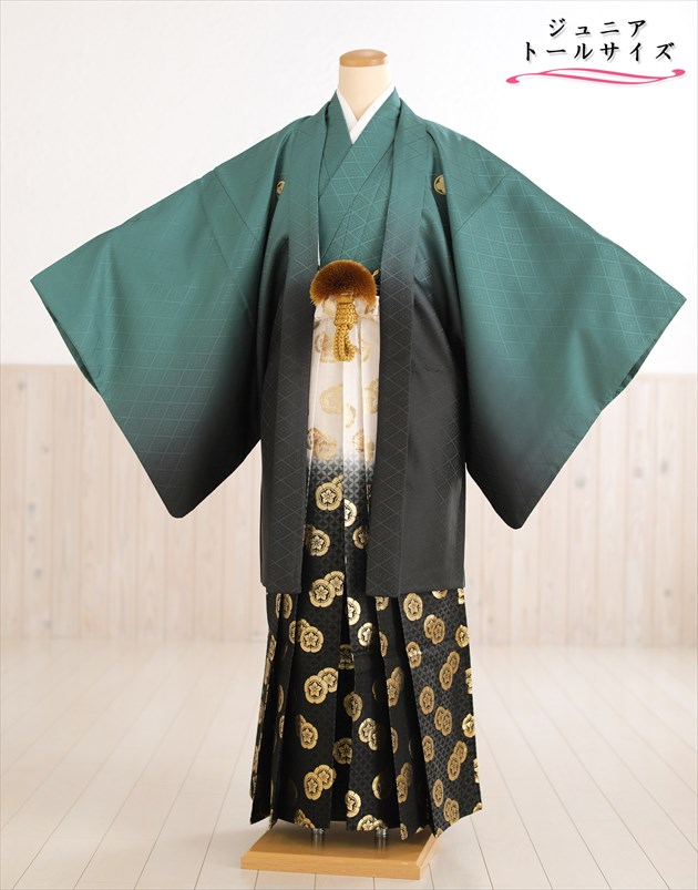 身長高め 160cm 165cm対応 ジュニア 紋付袴レンタル jbmo085-4 小学校卒業式 十三参り 小学生 12歳前後 男性着物レンタル メンズ フルセット 羽織袴 袴レンタル かっこいい おしゃれ 人気 貸衣装 kimono イベント「緑ぼかし慶び黒金亀甲袴」【レンタル】｜貸衣裳　ぽえむ