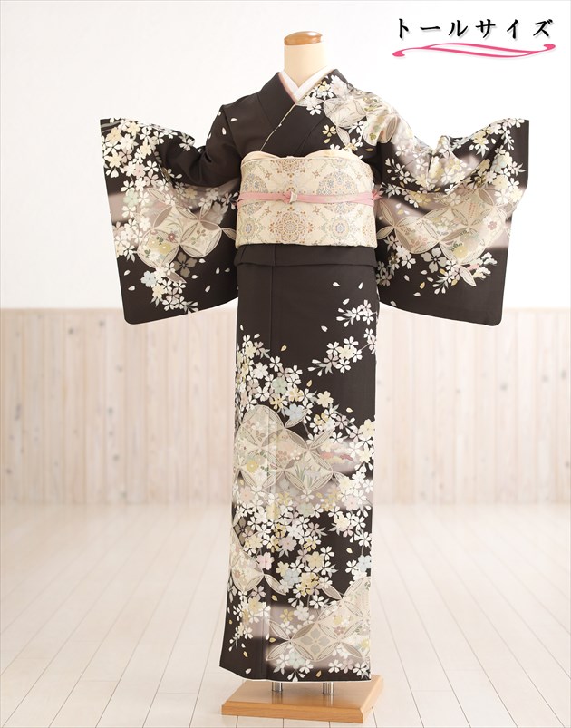 楽天市場】【レンタル】訪問着レンタル 高身長対応 166cm〜173cm