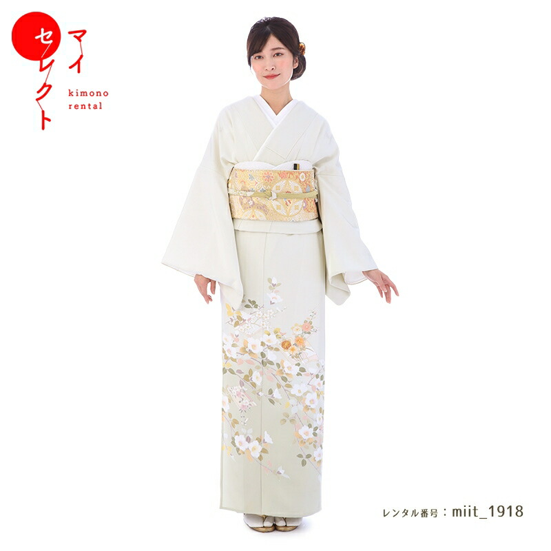 紅一点の七五三御召しものとは？一般受けの訳合いと愛らしさを明らかにする