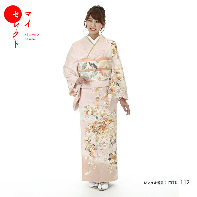 FN12036y 早い者勝ち！着物 正絹 訪問着 152〜162cm FN12036y 早い者勝ち！着物 正絹 訪問着 152〜162cm FN12036y 早い者