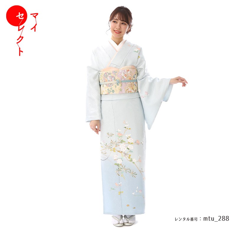 紅一点の七五三御召しものとは？一般受けの訳合いと愛らしさを明らかにする