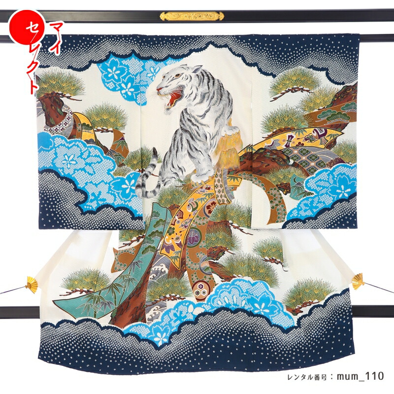 七五三の内鰓スチュアートとは？一般受けの訳合いと愛らしさを引き合わせる