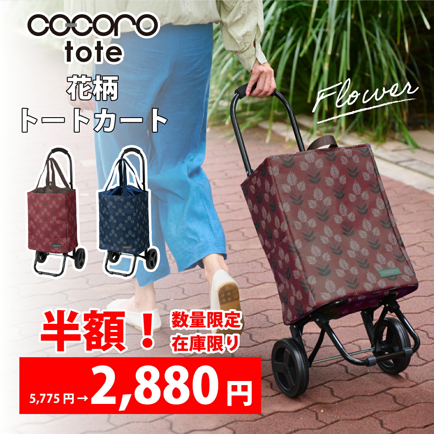 楽天市場】【スーパーSALE☆定価より50％オフ】cocoro コ・コロ ココロ