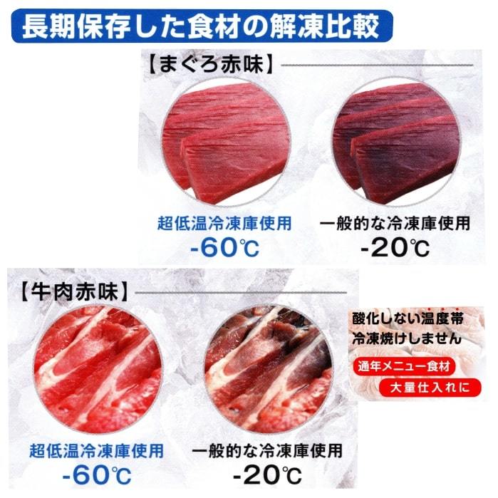 業務用90L冷凍ストッカー業務用冷凍庫貯蔵業務用店舗用送料無料超低温−60℃CC100-OR