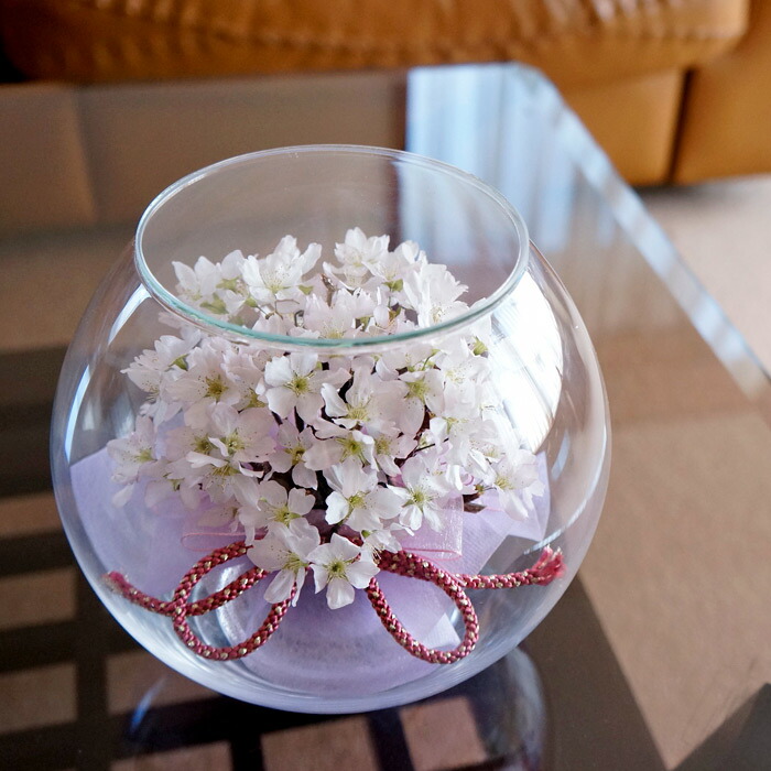 プレゼント 母の日 供花 祖母 妻 ドライフラワー アレンジメント 母 啓翁桜 ラウンド型 組紐リボン 新築祝い 大サイズ 新築 母 女性 約直径16cmlabinka Sghrガラス 春 自然の美しさを閉じ込めた枯れないお花 Labinka 結婚祝い お祝い 花 お祝い 退職祝い 誕生日 プレゼント 母の日 供花 祖母 妻 ドライフラワー アレンジメント 母 啓翁桜 ラウンド型 組紐リボン 新築祝い 大サイズ 新築 母 女性 約直径16cmlabinka Sghrガラス 春 自然の美しさを閉じ込めた枯れないお花 Labinka 結婚祝い お祝い 花 お祝い 退職祝い 誕生日