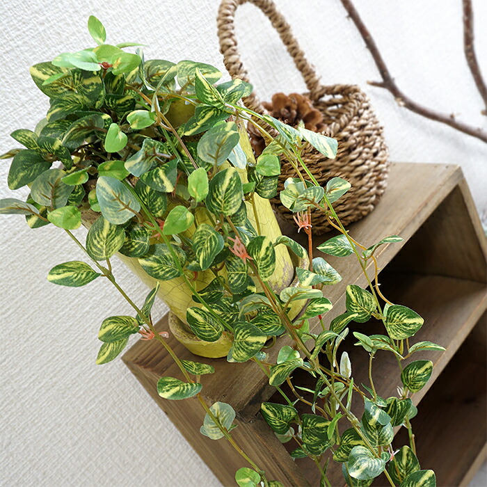 楽天市場 人工植物 Asca アスカ ミニポトスハンギングブッシュ 1本 A 造花 観葉植物 フェイクグリーン インテリア 花材 リポーズジョイ