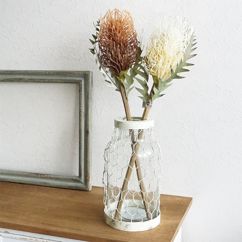 7本　バンクシア　フーケリアーナ 楽天市場】自家栽培のドライフラワー バンクシア フーケリアーナ