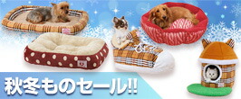 楽天市場】送料無料・同梱可 □ハイパーペッカリー スタンダードホース