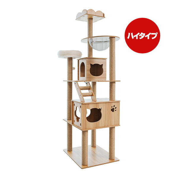 楽天市場】【最大2000円OFFクーポン！＆店内ポイント最大55倍！本日