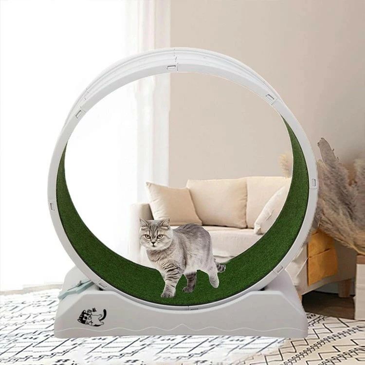 キャットホイール 猫 回し車 鍵を掛けるとり備える内蔵 静音低響動めき 猫専用お座敷伝令 猫 駈けっくら車輪 キャットウォーク 運動すること機能不全取り止める