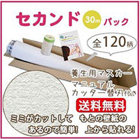 壁紙 の 上 から 貼れる 壁紙 生のりつき 差し交わす サンゲツ SP2521-S30 生のり付き添い人壁紙(REROOM)