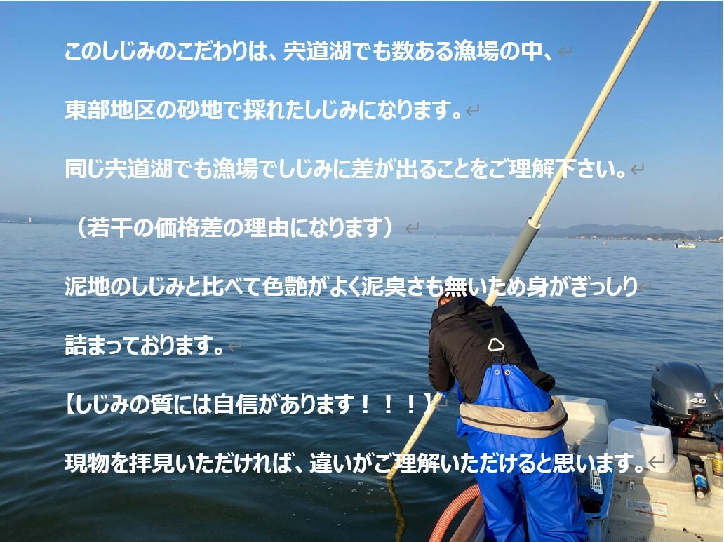 市場 お買い物マラソン 冷凍しじみ シジミ 島根県 500g×4パック 2kg 宍道湖 しじみ 10%OFFクーポン配布中 Mサイズ ヤマトシジミ 冷凍  砂抜き処理済