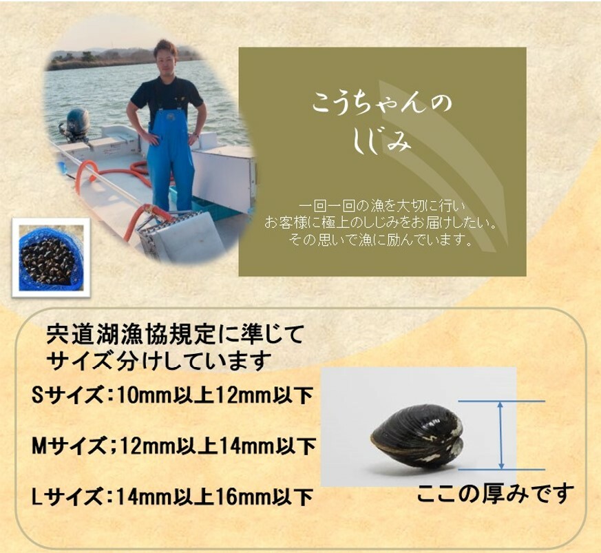 市場 お買い物マラソン 冷凍しじみ シジミ 島根県 500g×4パック 2kg 宍道湖 しじみ 10%OFFクーポン配布中 Mサイズ ヤマトシジミ 冷凍  砂抜き処理済