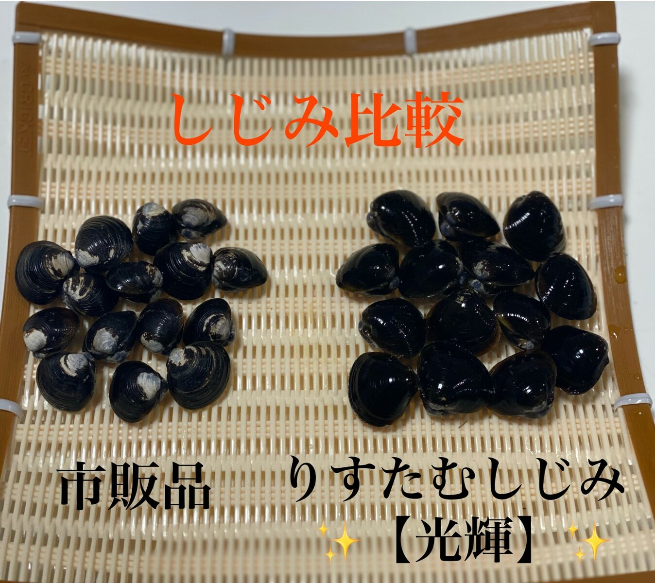 市場 お買い物マラソン 冷凍しじみ シジミ 島根県 500g×4パック 2kg 宍道湖 しじみ 10%OFFクーポン配布中 Mサイズ ヤマトシジミ 冷凍  砂抜き処理済