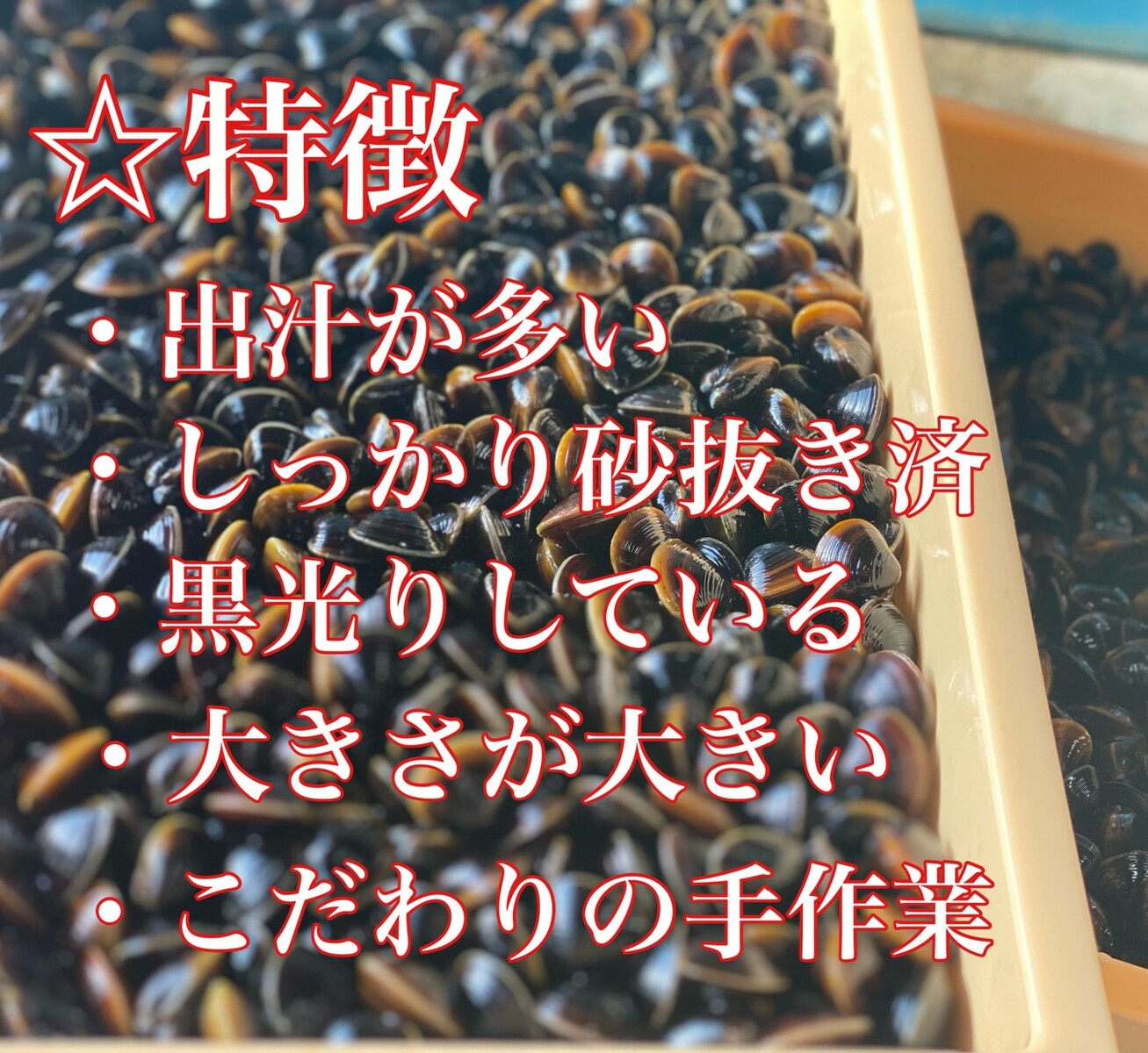 市場 冷凍しじみ 産地直送 200g×5パック 蜆 宍道湖 島根県 しじみ 1キロ 国産 Lサイズ 砂抜き処理済 お取り寄せ 大粒 1kg シジミ 冷凍