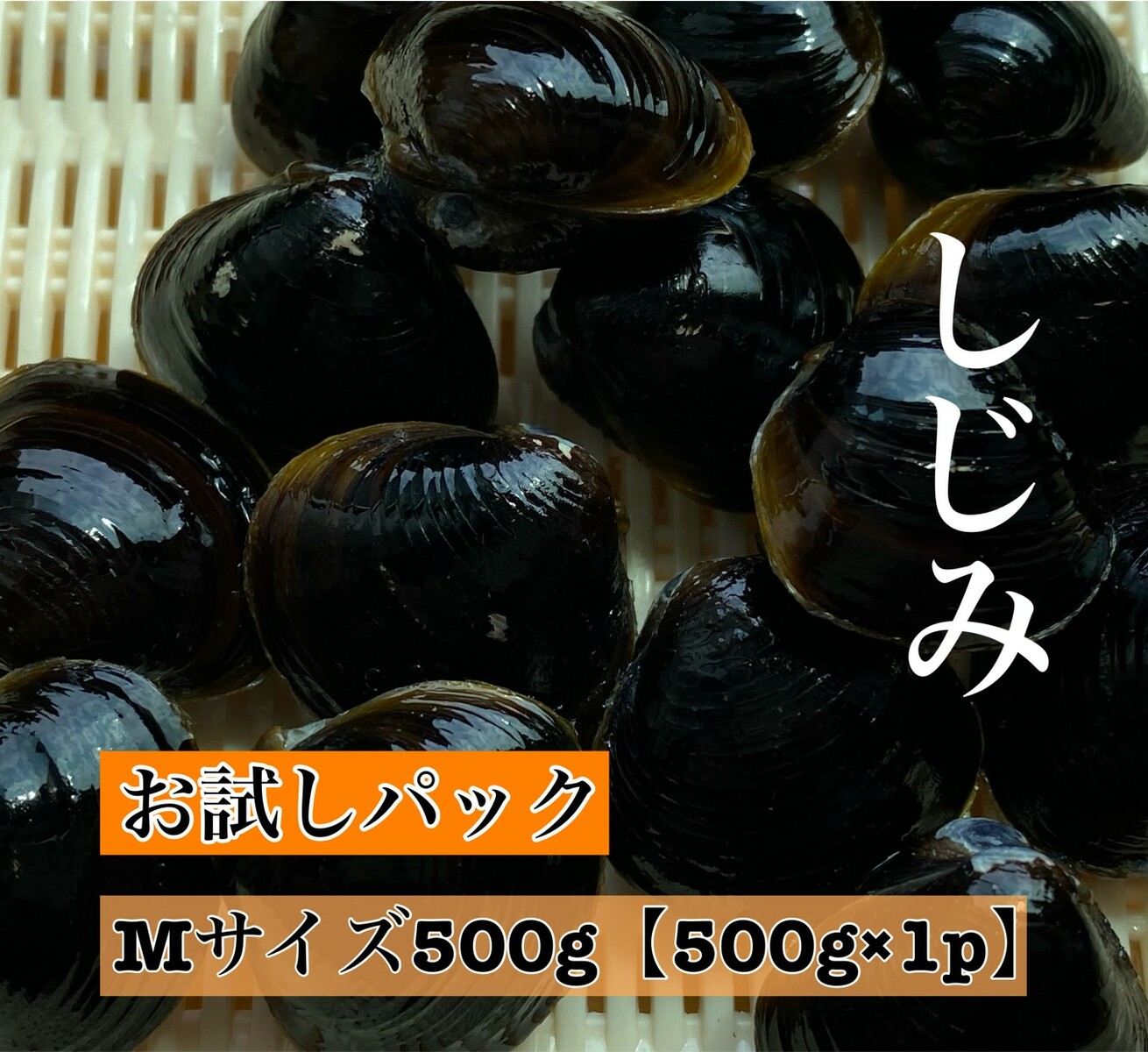 市場 宍道湖産 冷凍しじみ しじみ 2Kg 大和しじみ 冷凍Lサイズ 砂抜き