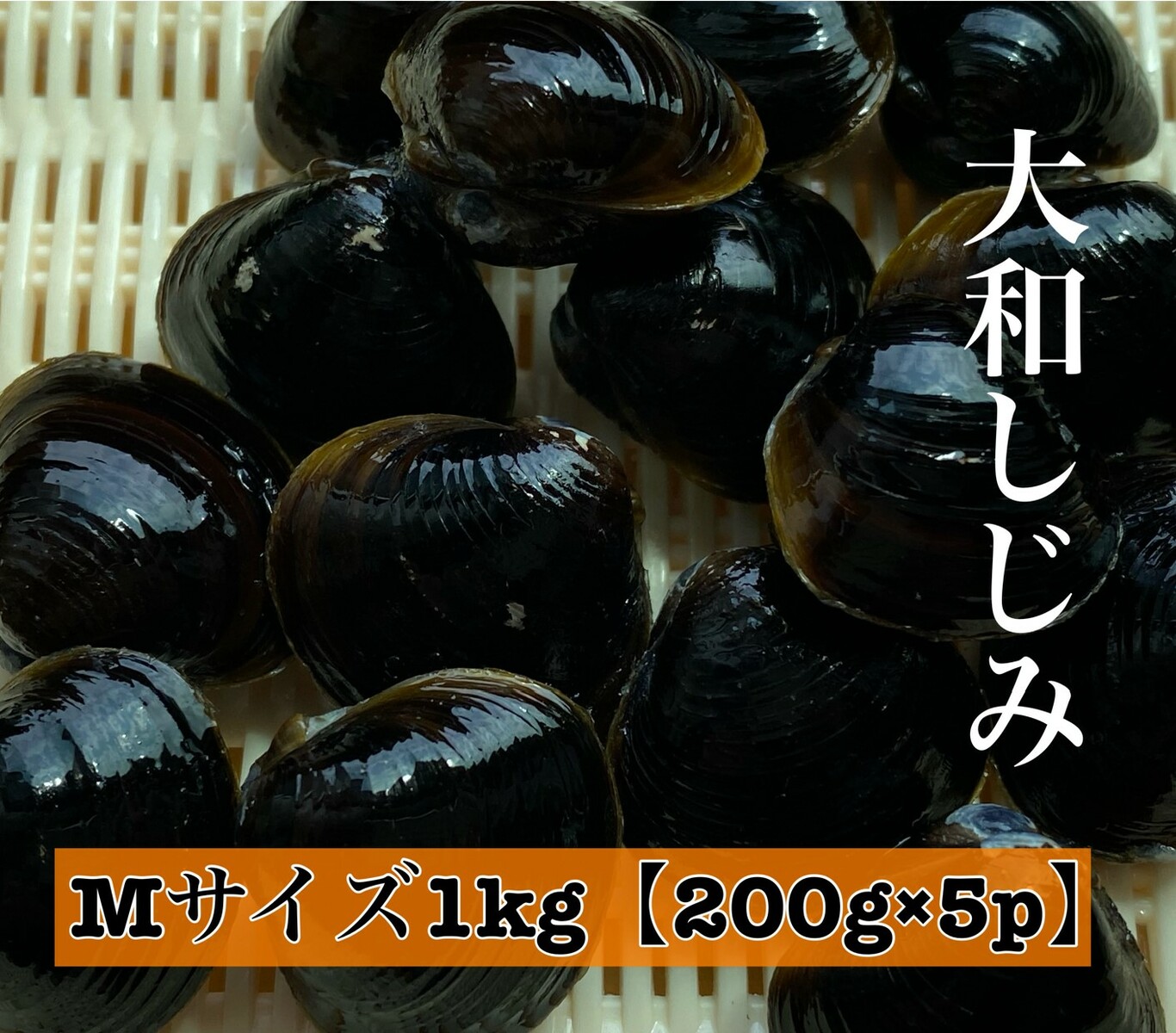 楽天市場】しじみ 宍道湖 冷凍しじみ お試しパック Mサイズ 500g 500g×1パック シジミ 冷凍 島根県 国産 砂抜き処理済 蜆 大和しじみ  大和シジミ しじみ汁 お取り寄せ 国産しじみ 国産シジミ 産地直送 味噌汁 大和しじみ汁 : りすたむ matsue