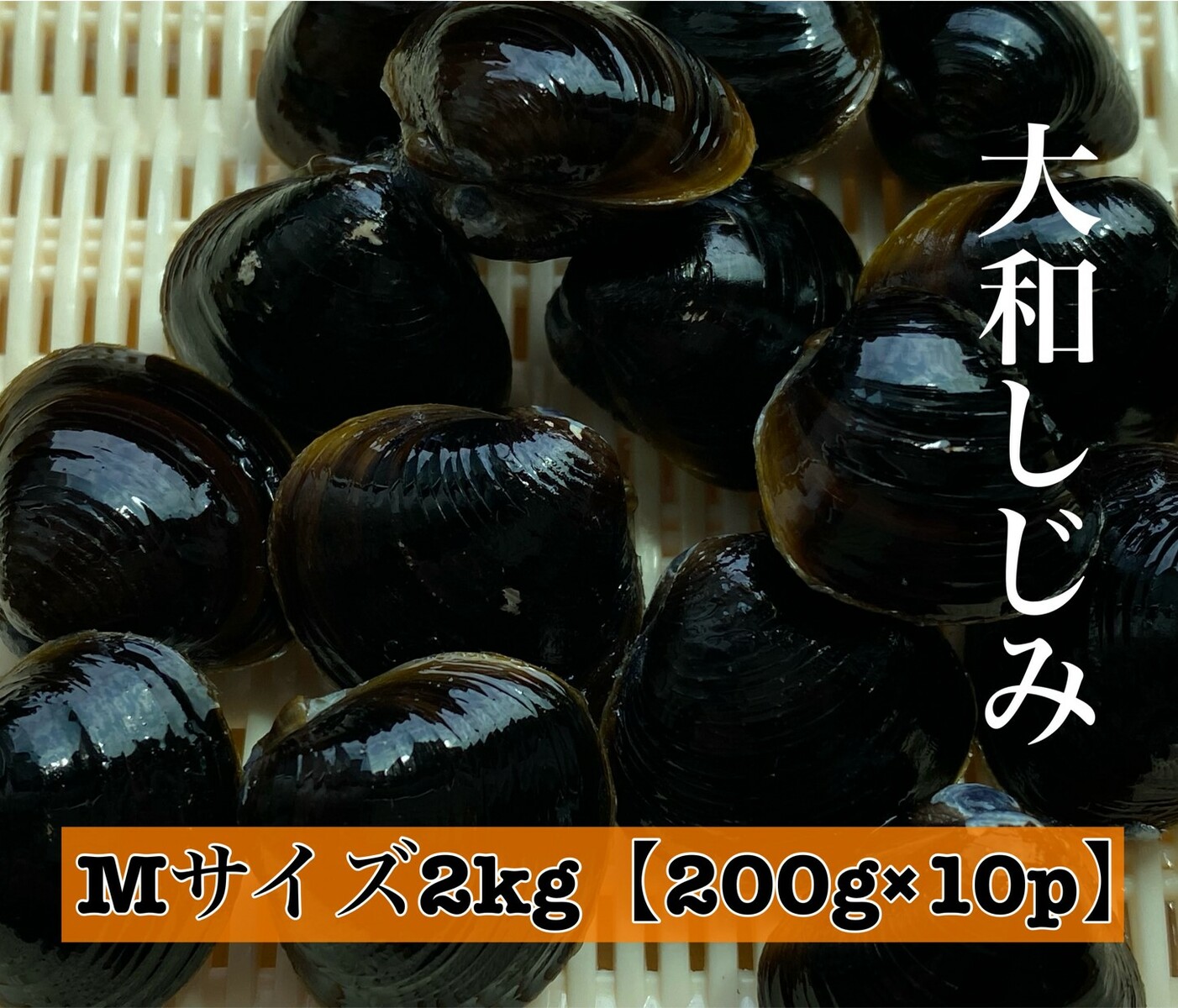 楽天市場】しじみ 宍道湖 冷凍しじみ お試しパック Mサイズ 500g 500g×1パック シジミ 冷凍 島根県 国産 砂抜き処理済 蜆 大和しじみ  大和シジミ しじみ汁 お取り寄せ 国産しじみ 国産シジミ 産地直送 味噌汁 大和しじみ汁 : りすたむ matsue