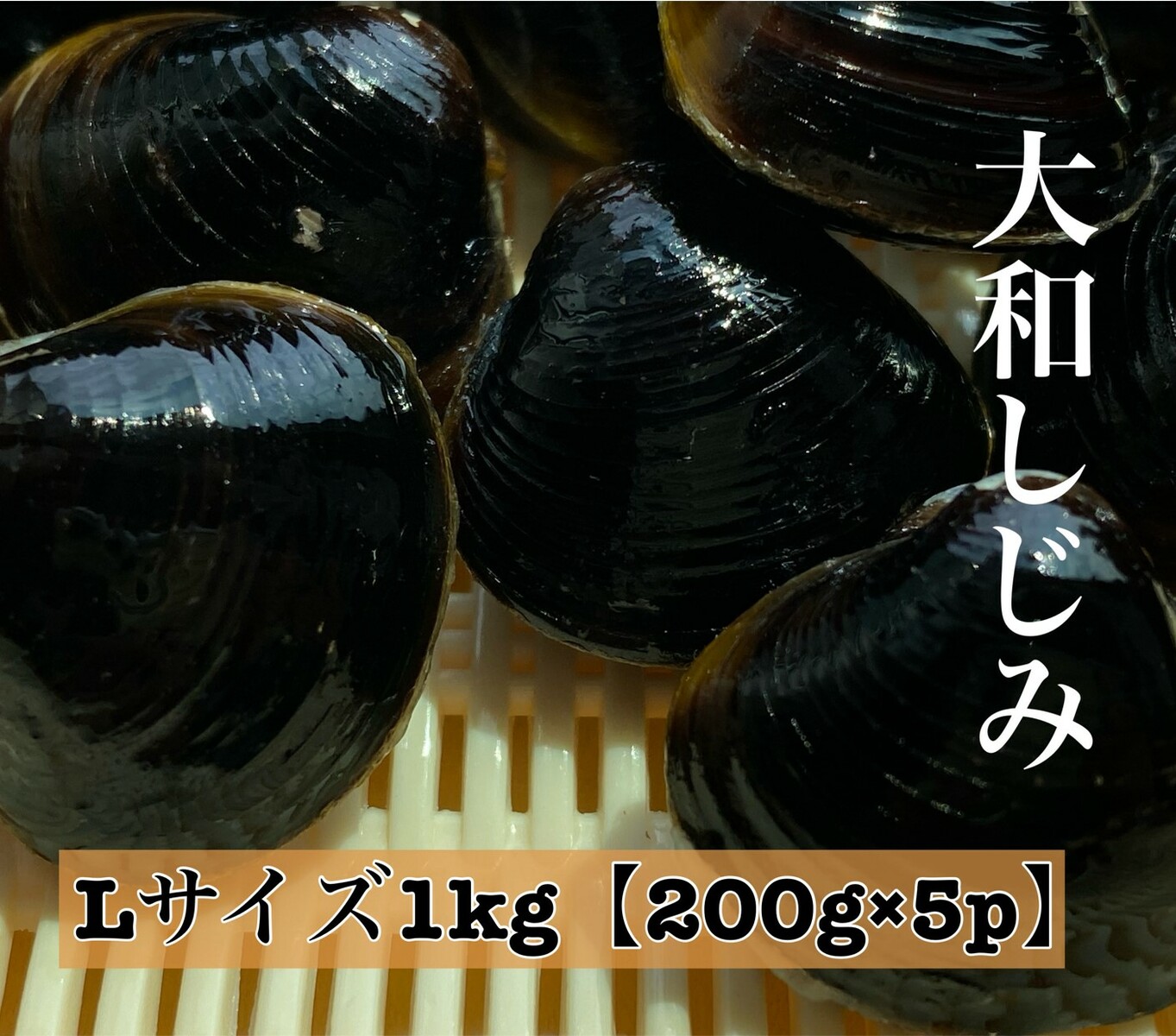 市場 冷凍しじみ 宍道湖 砂抜き処理済 Lサイズ 大粒 200g×5パック 蜆 産地直送 冷凍 1kg 島根県 シジミ しじみ 国産 1キロ お取り寄せ