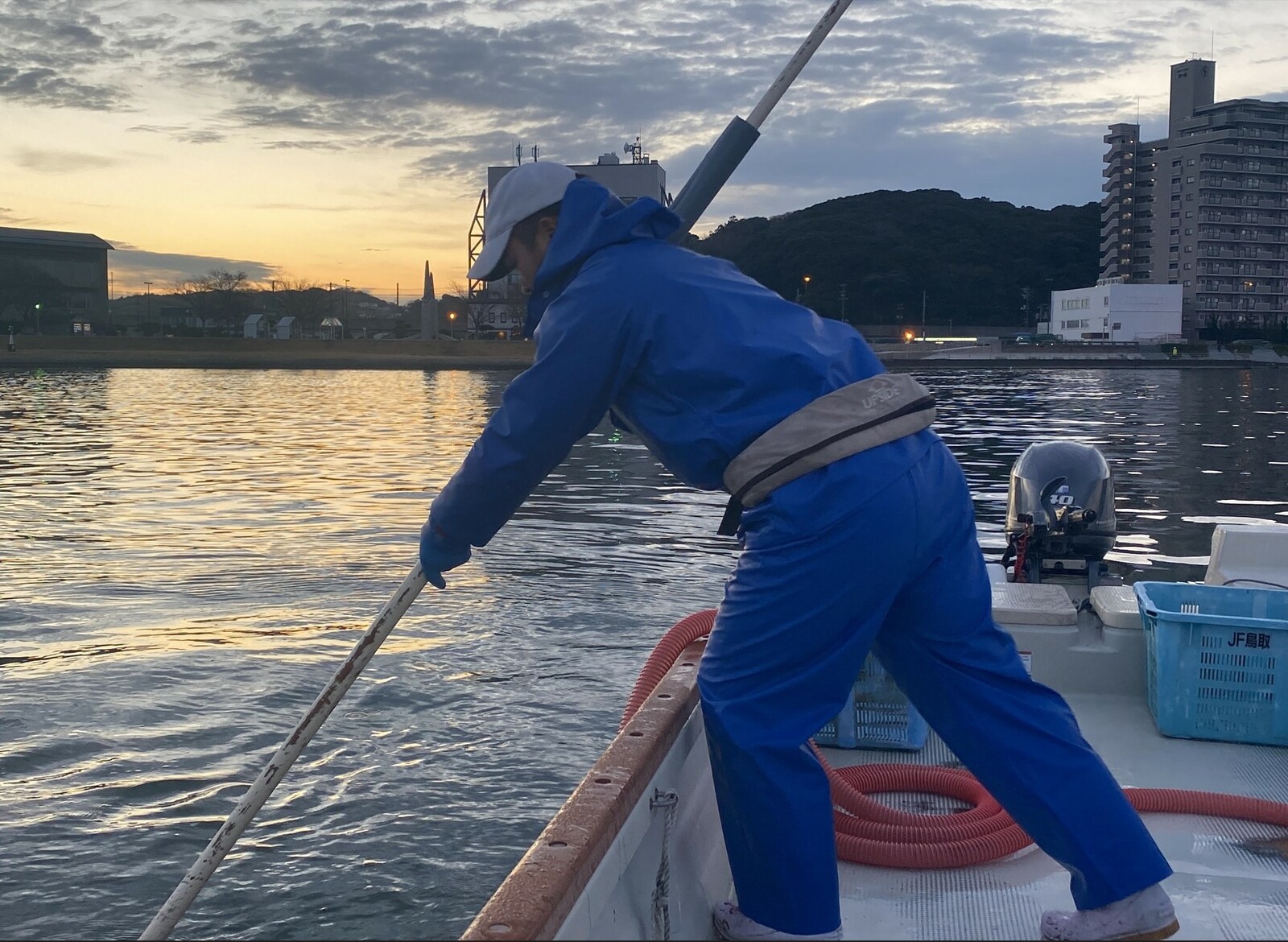 市場 冷凍しじみ 大粒 国産 砂抜き処理済 冷凍 島根県 しじみ 200g×5パック Lサイズ 宍道湖 1キロ お取り寄せ 1kg 蜆 産地直送 シジミ