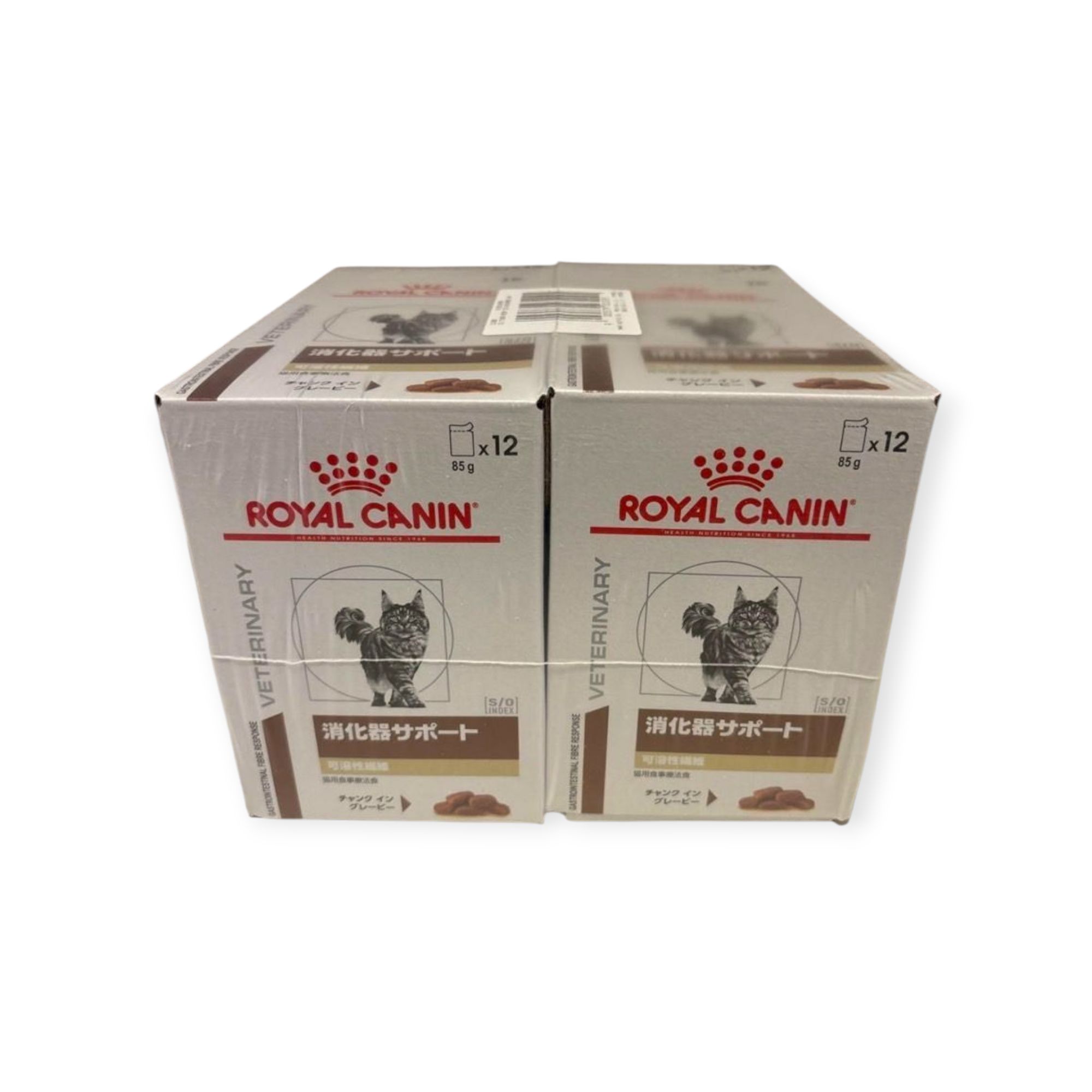 楽天市場】犬・猫用 退院サポート ウェット 缶 195g「ロイヤルカナン