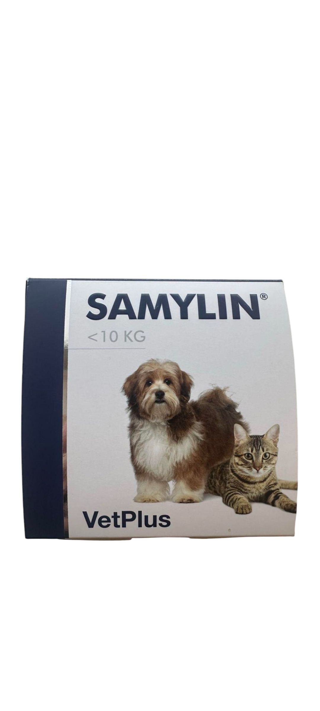 AKTIVAIT アクティベート 中型・大型犬用　60カプセル　1箱 アクティベート】〈犬用〉60カプセル入り