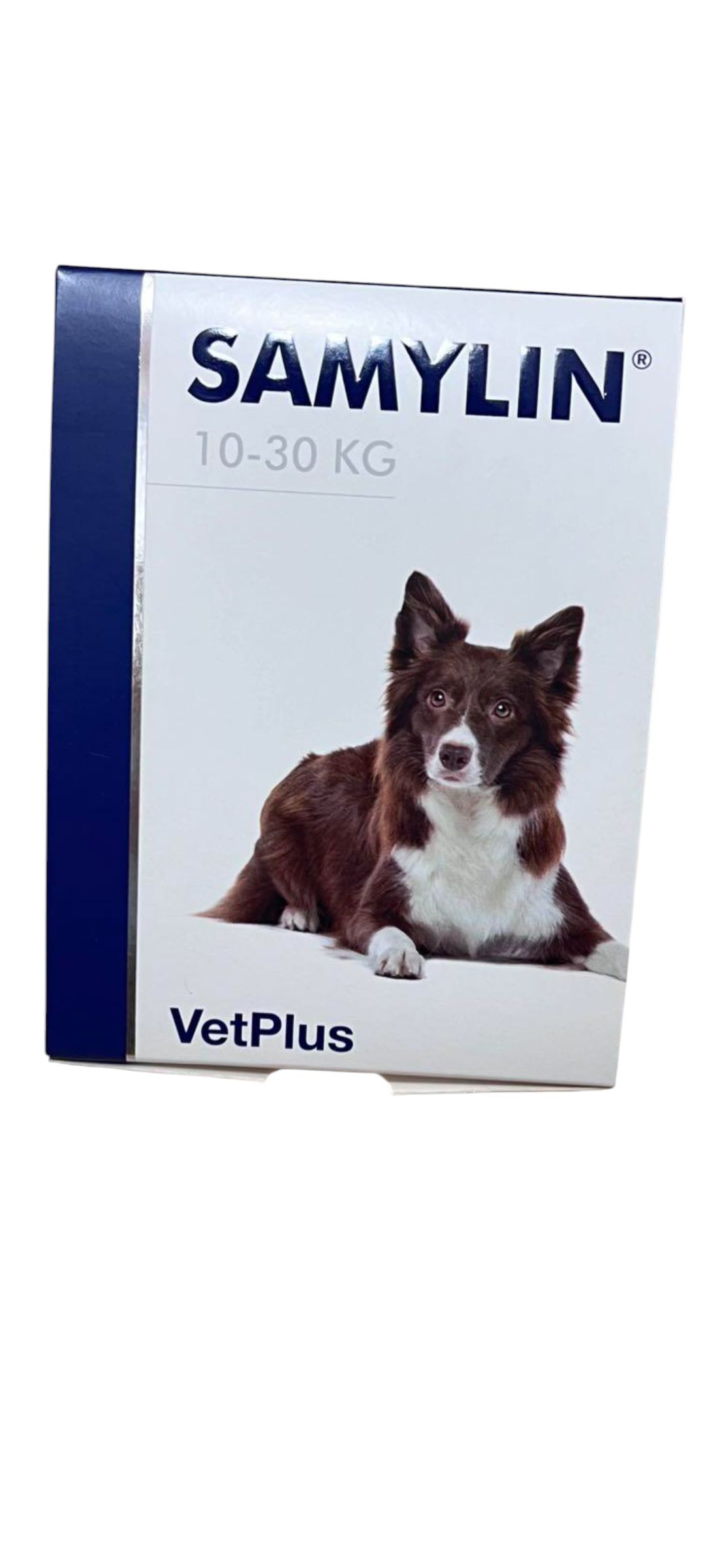 楽天市場】【株式会社ワールドエクイップス】SAMYLIN サミリン 小型犬