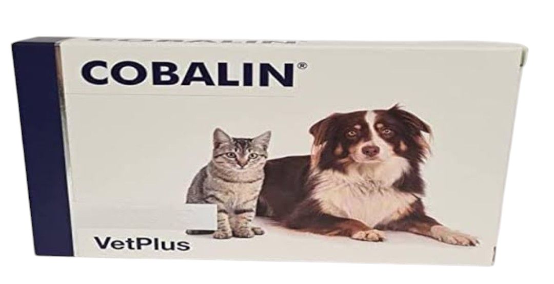 楽天市場】【株式会社ワールドエクイップス】AKTIVAIT アクティベート