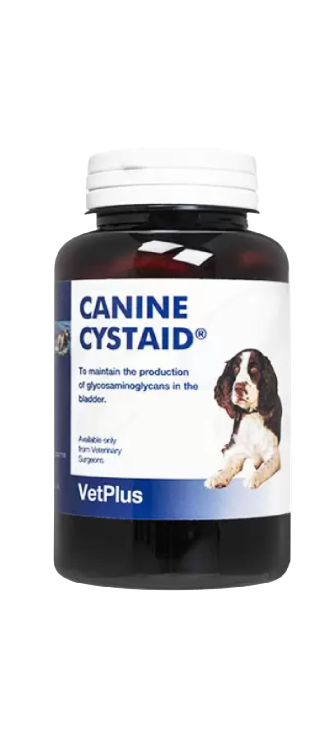 楽天市場】【株式会社ワールドエクイップス】AKTIVAIT アクティベート