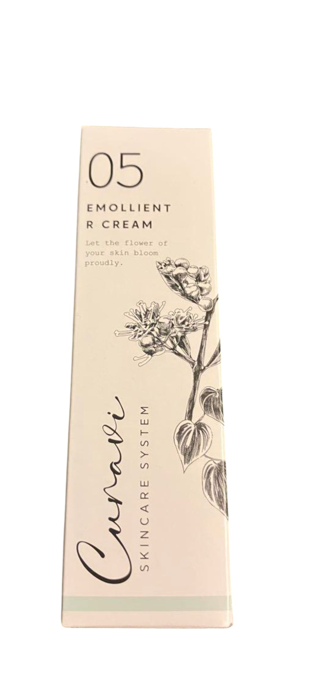30g【QUEENS HENNA】クイーンズヘナキュラヴィ 人はだ世話をする システムエモリエントR皮膚軟化剤＜皮膚軟化剤＞