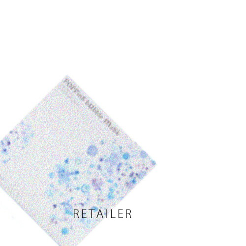 楽天市場】♪ 【KSJAPAN】 ブランシェブランシェ5GF+PRO-G