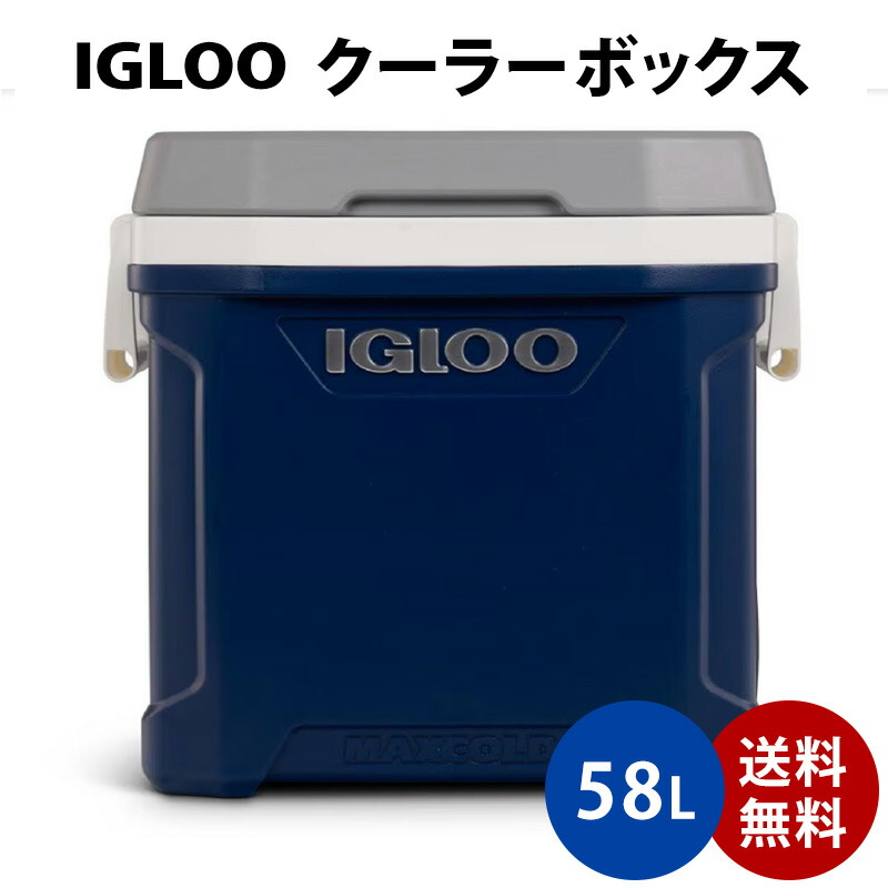 楽天市場】2025【 IGLOO 】イグルー マックスコールド 62