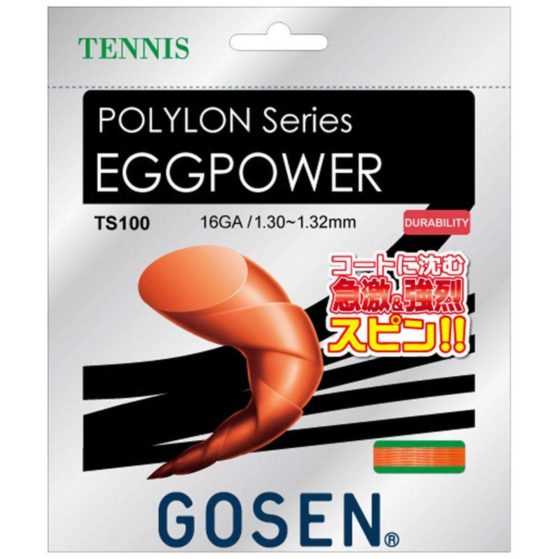 ゴーセン　ポリロン　17ゲージ　　12mカット　5本セット ゴーセン ポリロン 17ゲージ 12mカット 5本セット GOSEN お試し