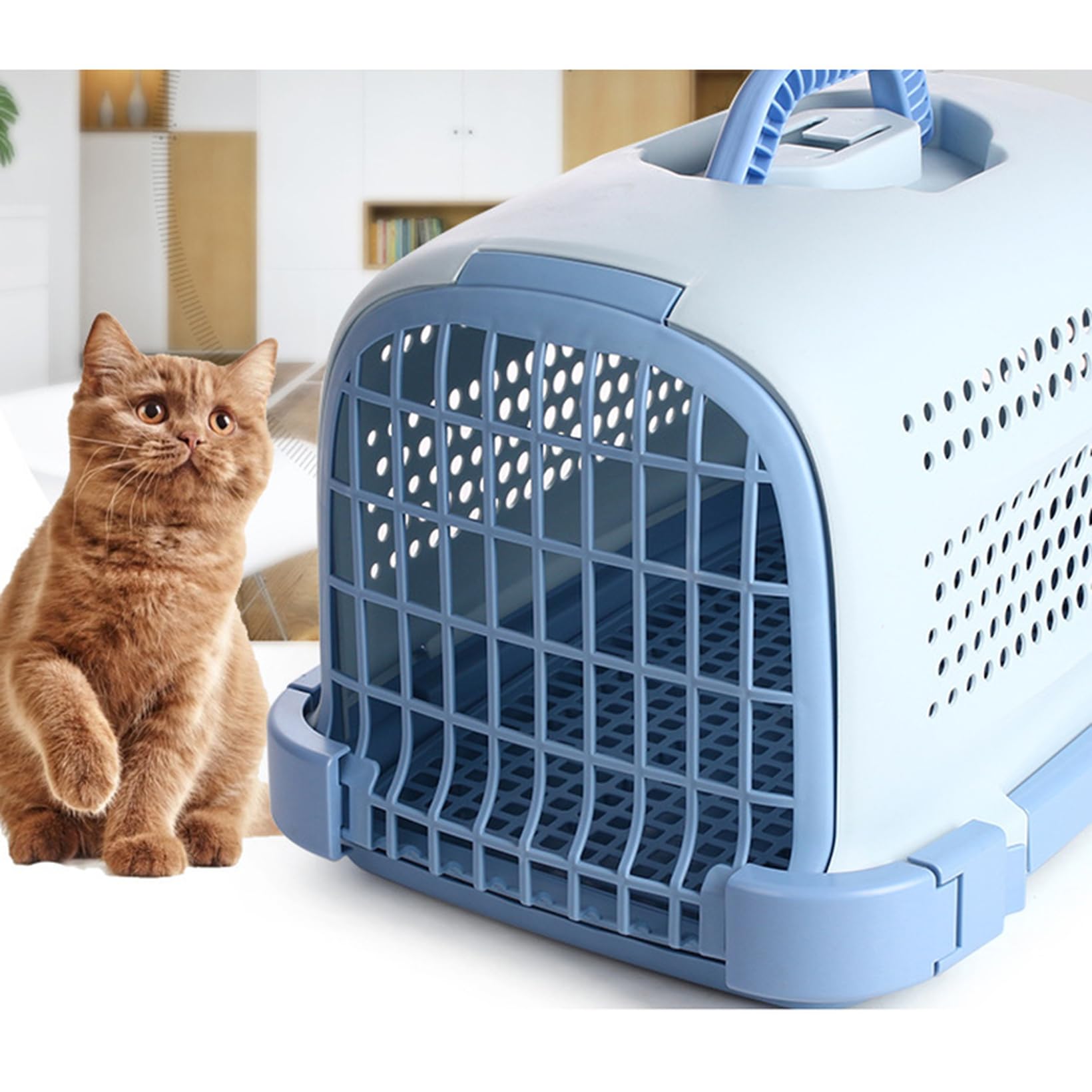 [] 6個 防災愛玩動物キャリーバッグ 小型犬 M 多頭飼い 青碧 犬 猫 愛玩動物 持ちはこび ペットキャリーケース 容れもの クレート 捉え所の無い持ちはこび 愛玩動物クレート ペットケンネル 車 新幹線 航空機相応う 手持ち部分付き添い人 飛行持ちはこびボックス席