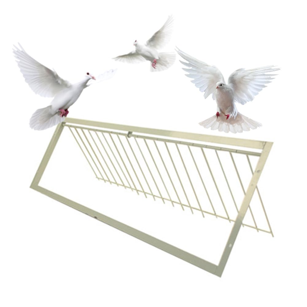 鳩用 入り口・入口 落とし穴部屋の入り口 鉄製 鳩掘ったて小屋 引きくらべる用 スピード競技鳩 伏せ篭用一部分 風通し 牢固たる 入り口・入口金具 愛玩動物装置