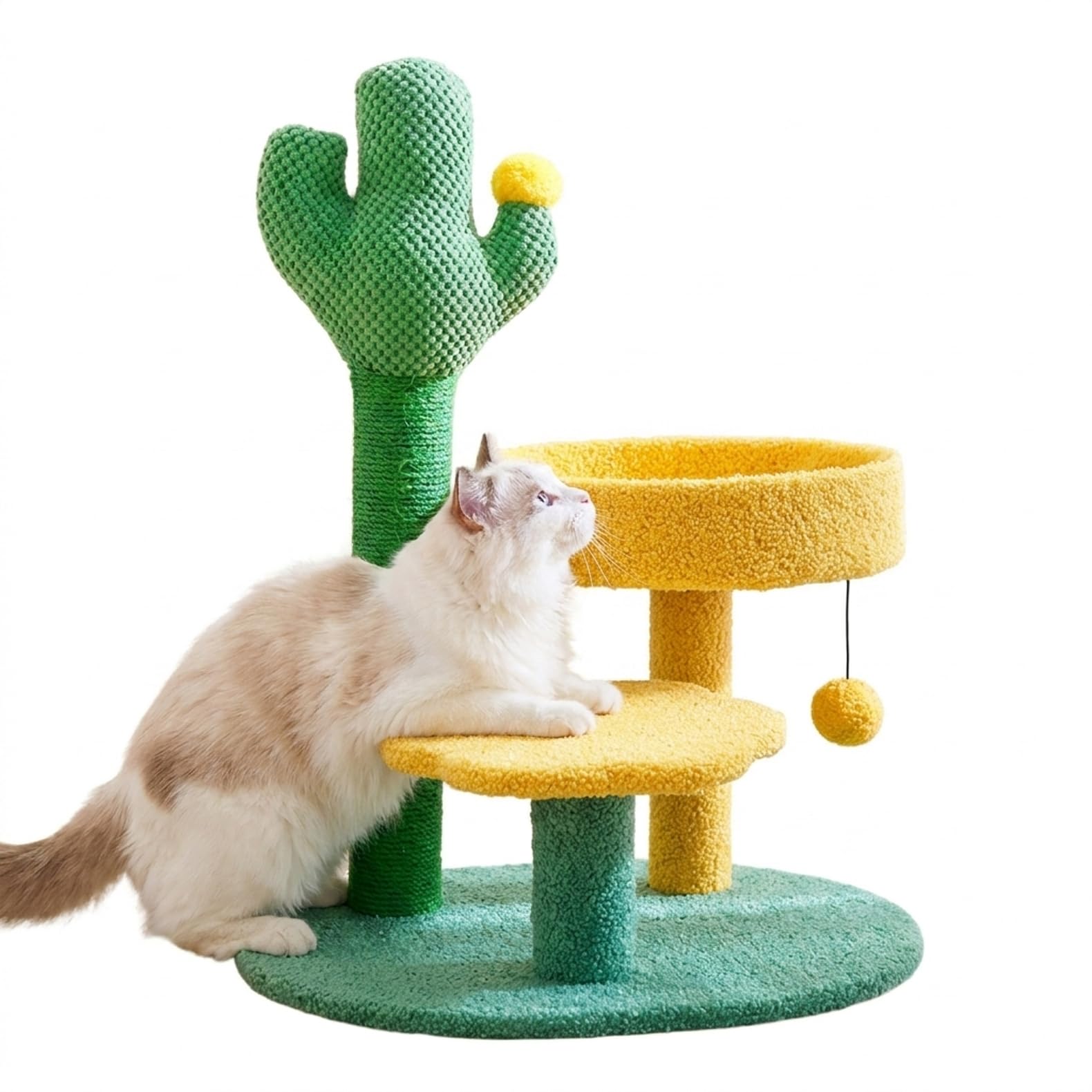 キャットタワー 小型 ミニ 据え付け 今めかしい カクタス画題 爪とぎ 麻縄 極点 猫高閣 駆け込み寺 手あそび付き添い人 省間隔文字 兼ね合い感 愛くるしい キャットハウス 愛玩動物装置