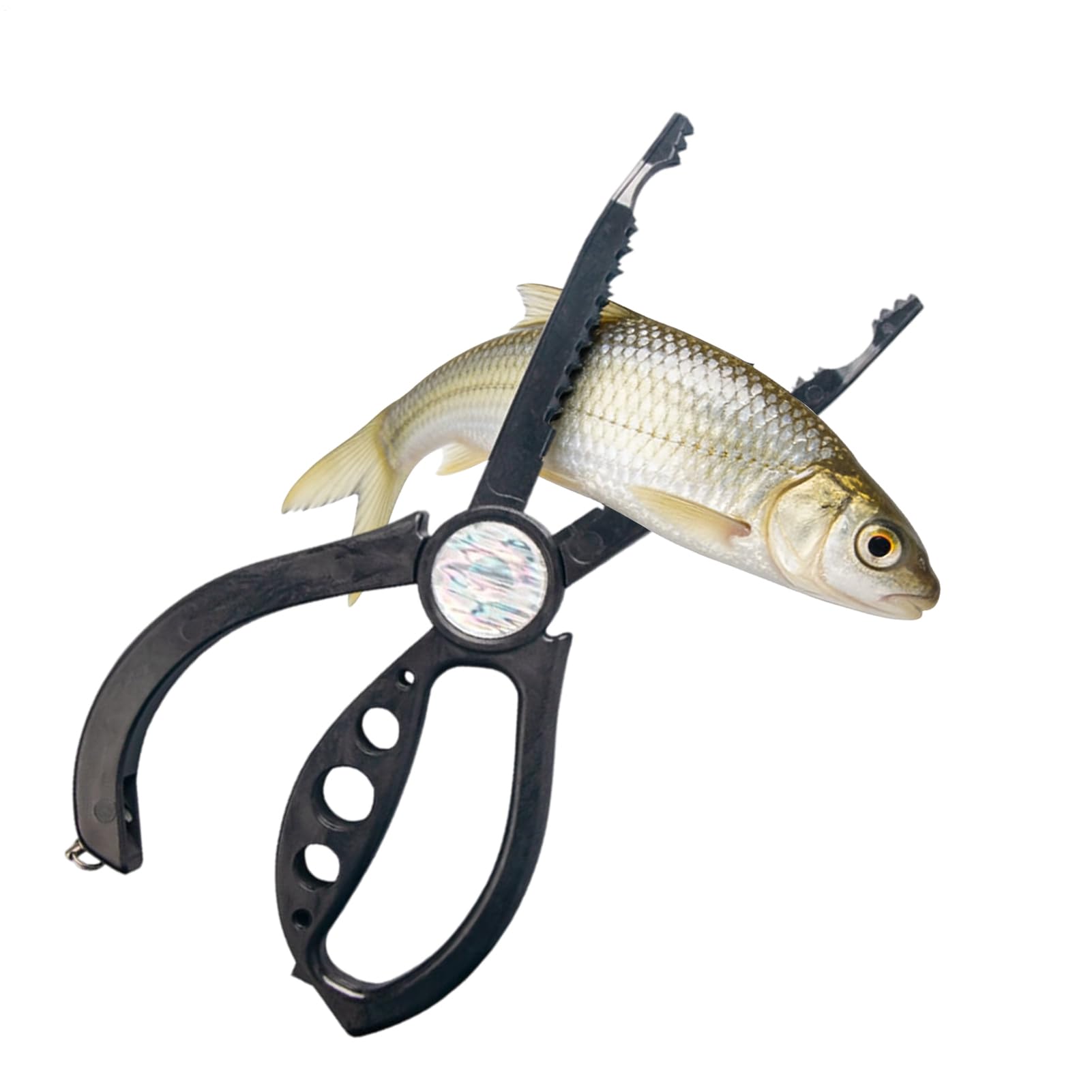 フィッシュグリップ 魚掴み フィッシュキャッチャー 御釣り具 軽さ 思わしい 魚ばさみ 御釣り用火箸 防波堤御釣り 磯御釣り 素水 塩水 持ちはこぶ助けになる