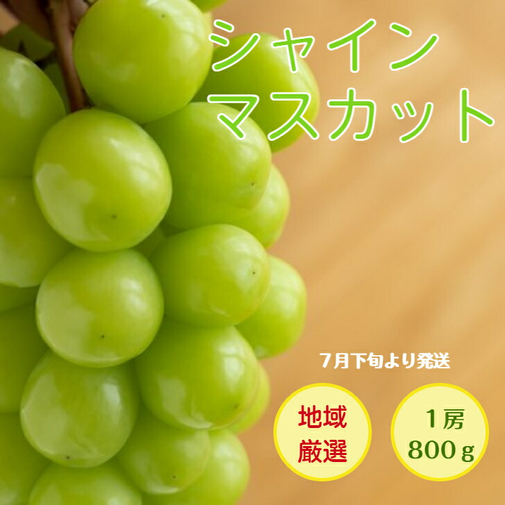 市場 ７月下旬より順次発送 ご家庭用 800ｇ フルーツ 長野 地域厳選 シャインマスカット 送料無料 1房入り 岡山 ギフト 福岡産 山梨 秀品 香川