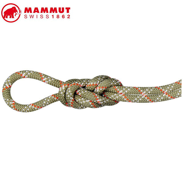 MAMMUT 2010-05820 9.5 Gym Classic Rope 40m boa-white Climbing Gear マムート ロ－プ クライミング用品 ベージュ MAM20100582040303