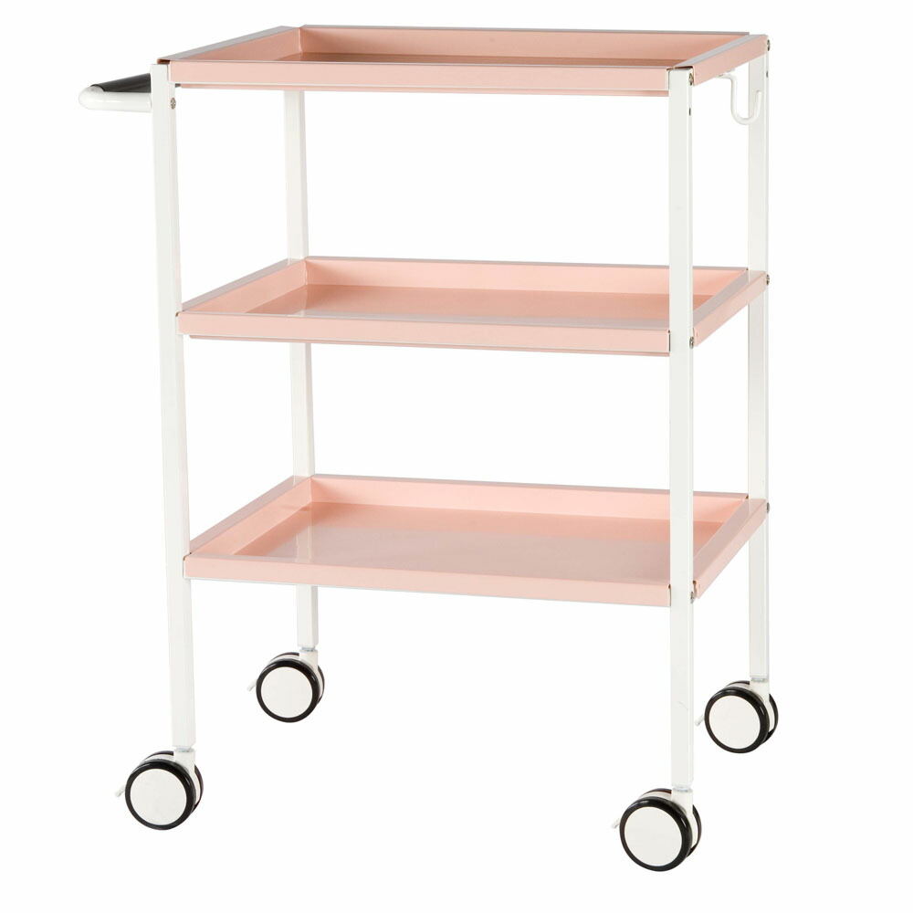 【個人宅配送可能商品】スチールワゴンII ピンク RFWG2-STPK