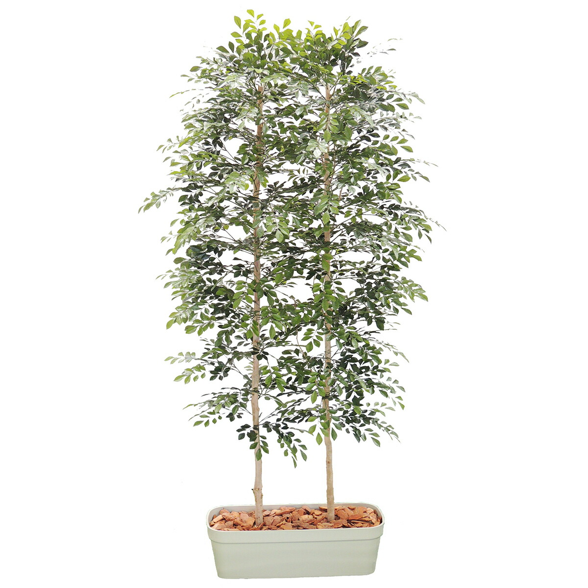 【メーカー取り寄せ品】トネリコパーテーション H1500mm ◆HBKD-2-028　 観葉植物　インテリアグリーン　オフィスグリーン　フェイクグリーン 60,500円
