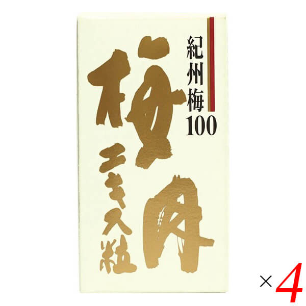 梅肉抽出エキス粒 90g 4個仕掛ける 恒食