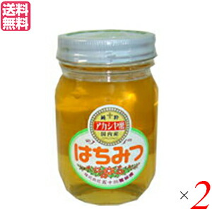 【4/10(金)限定！カードでポイント8倍！】はちみつ 蜂蜜 国産 五十川養蜂園 国産はちみつ アカシア 500g ２個セット 送料無料